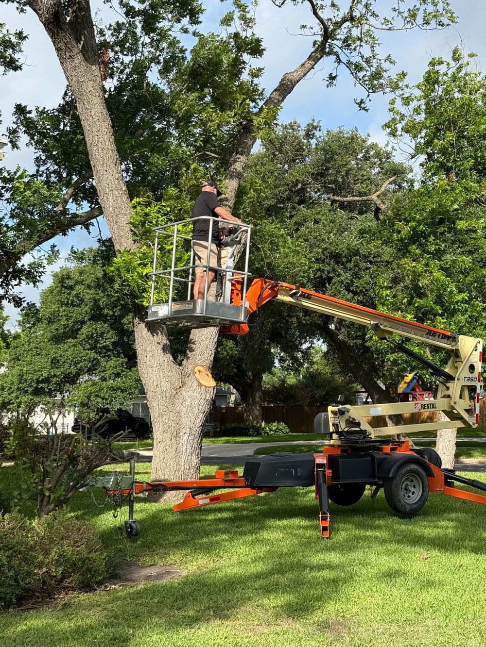 Worker using a cherry picker to trim a tree in a residential yard during daylight.